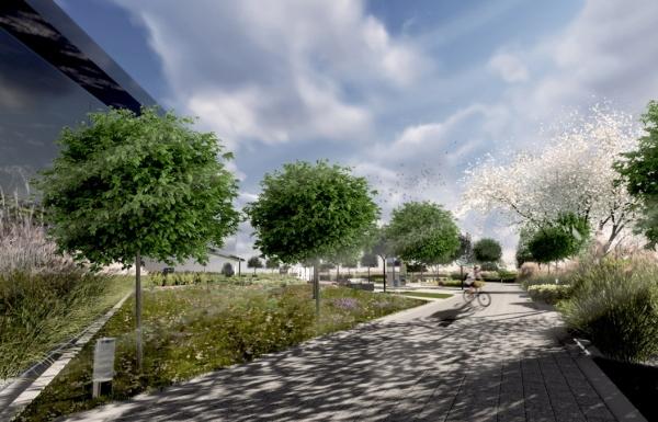 Zakwitną Bulwary Warty w Częstochowie