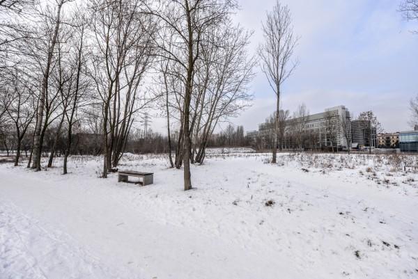 Dwa nowe parki w Warszawie