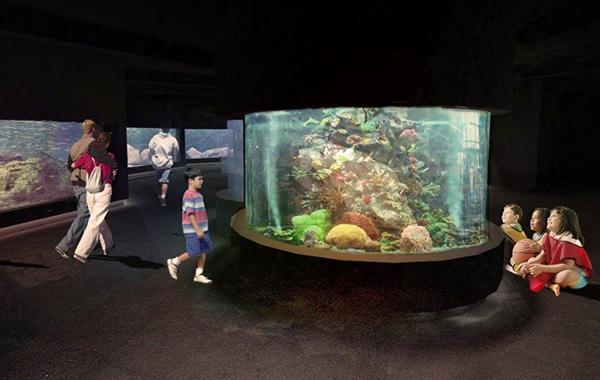 Akwarium Gdyńskie rozbuduje się dla rekinów