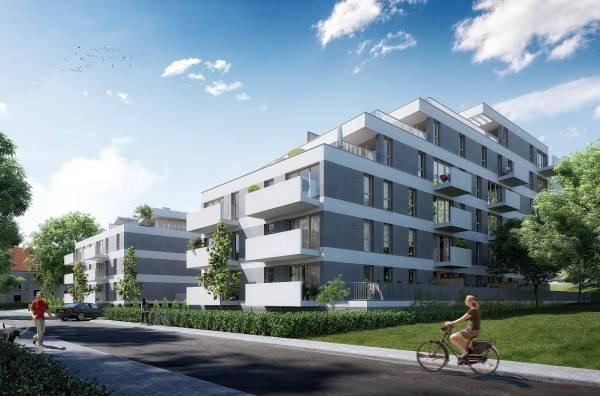 Rusza projekt Zielony Sołacz Tarasy