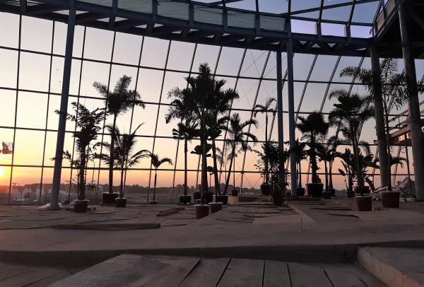 Pierwsze palmy pod Mszczonowem. Park of Poland nabiera kształtów