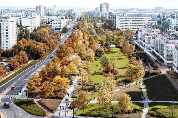 10 ha zieleni na Ursynowie. Wrótce przetarg na wykonawcę