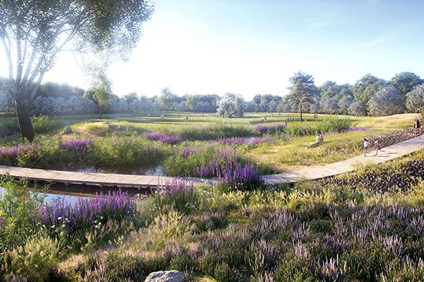 Mniej betonu, więcej zieleni. Umowa z wykonawcą przebudowy parku Pole Mokotowskie