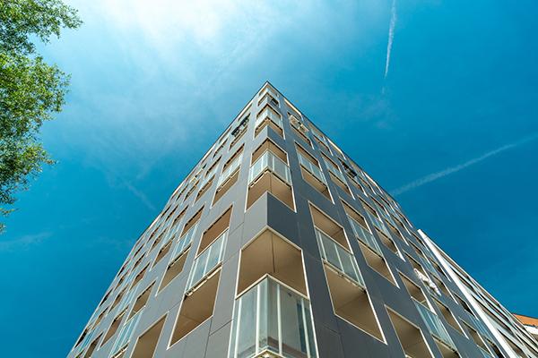 Geometria w praktyce, czyli Punkt Piękna