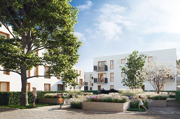 Perspective, czyli osiedle wokół starego dębu