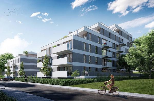 Wiecha na poznańskim Sołaczu