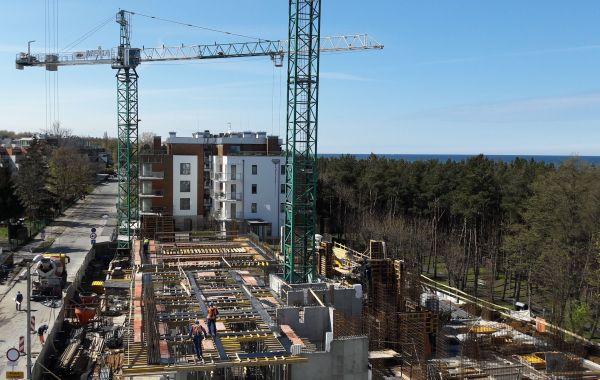 Gwiazda Morza rośnie w górę