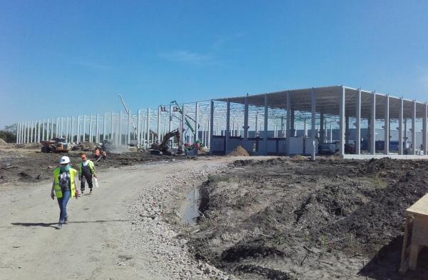 Budowa Hillwood & PHN Pruszków nabrała tempa