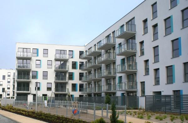 Większe Aquarium w Zielonej Górze